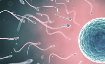 cd138阳性做试管一定不能移植吗？费用一般多少钱？