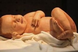 试管取精过程全曝光，手淫虽快但也得讲卫生