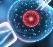 试管婴儿打促排针之后下边痒会影响取卵吗？